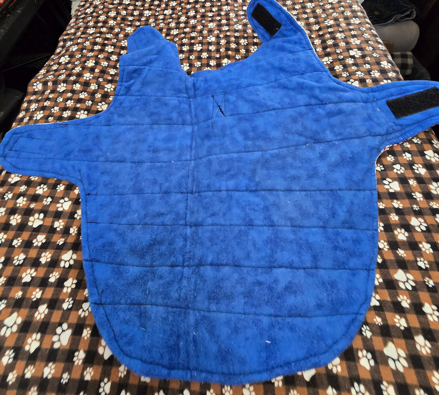 Pet Jacket