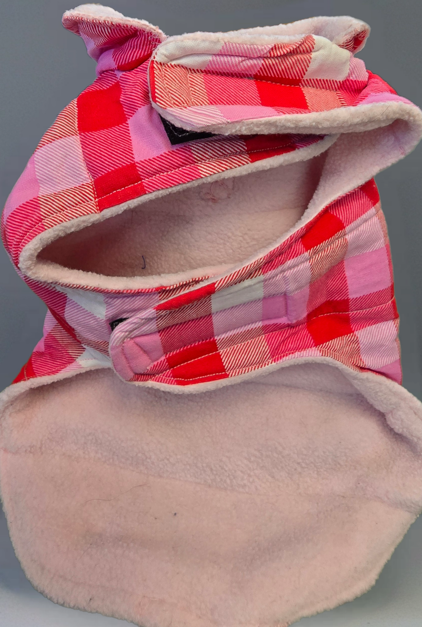 Pet Jacket